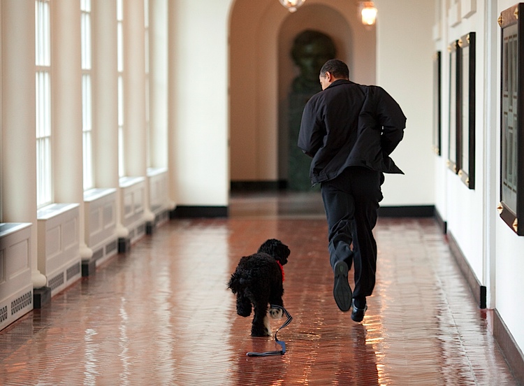 Obama family welcomes new puppy. RESTRICTED